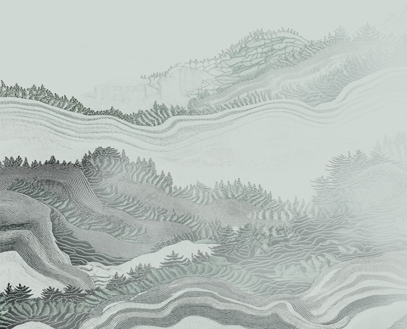 包装系列设计（PDS）